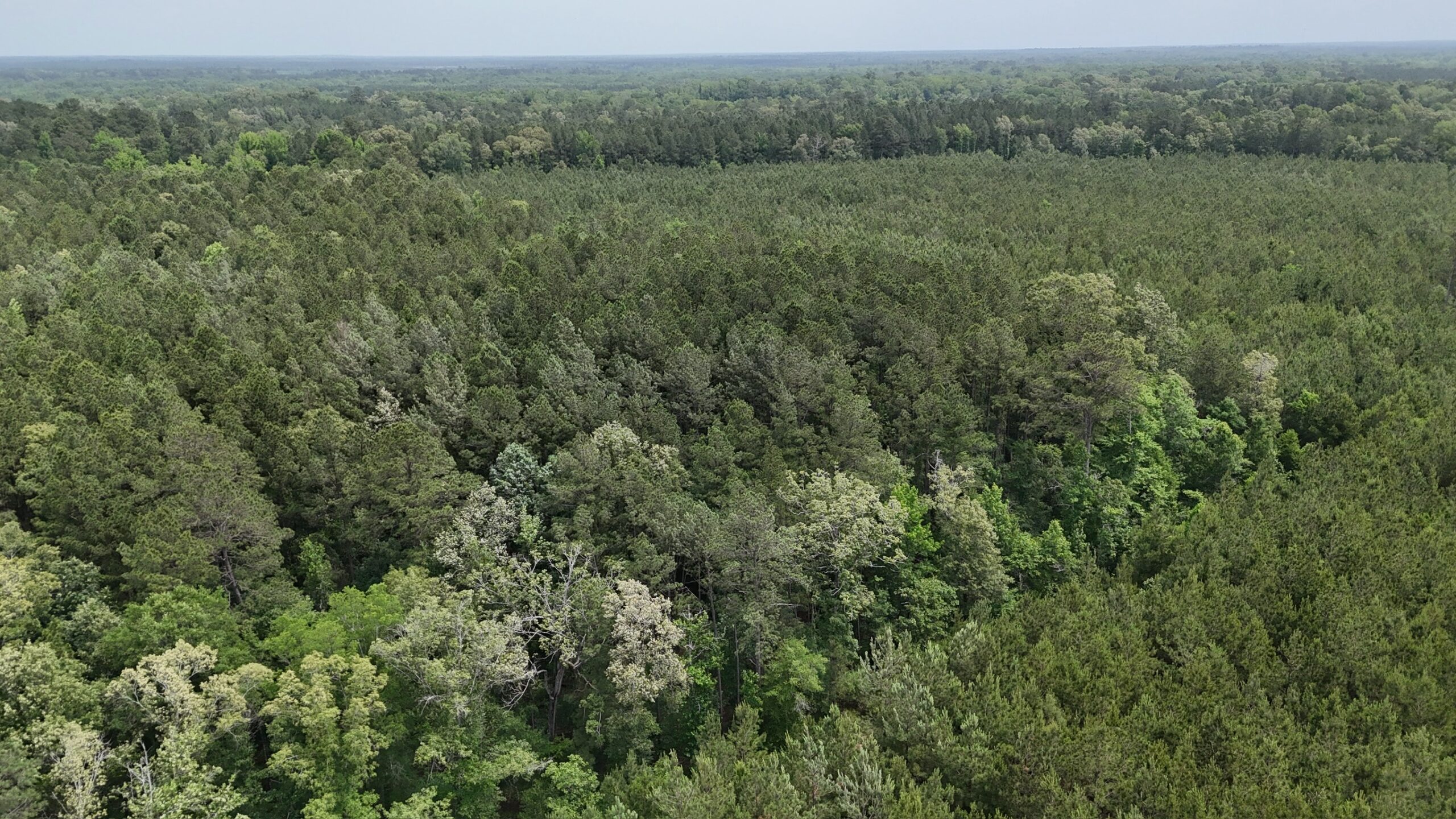 70 Acre Hunting Property with Camp Spot and Utilities