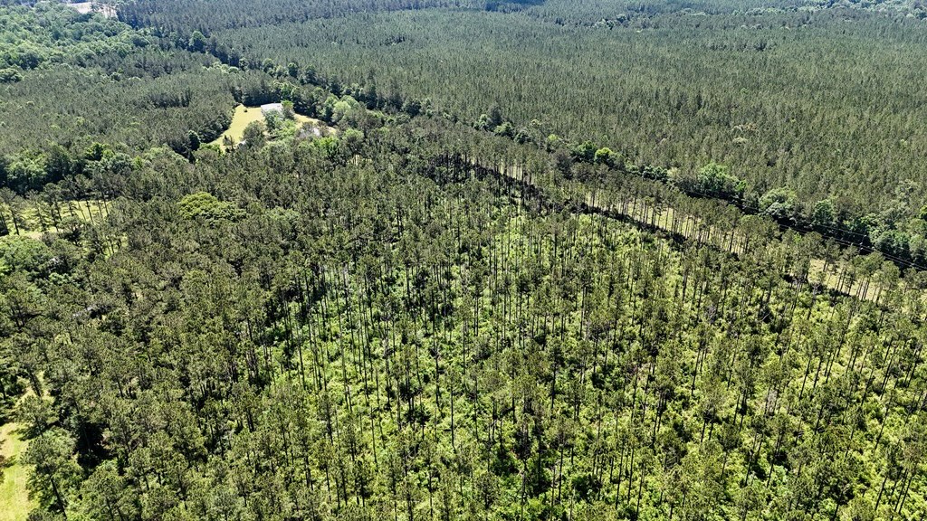 Turnkey Pike County, MS 70 Acres Hunting Property