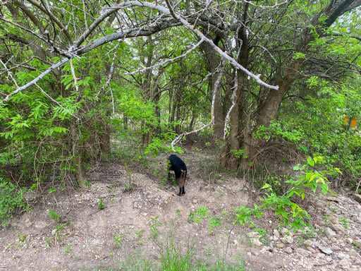51.01 Acres for Sale in Gatesville, TX – Gated Entrance, Pond, and Stunning Views