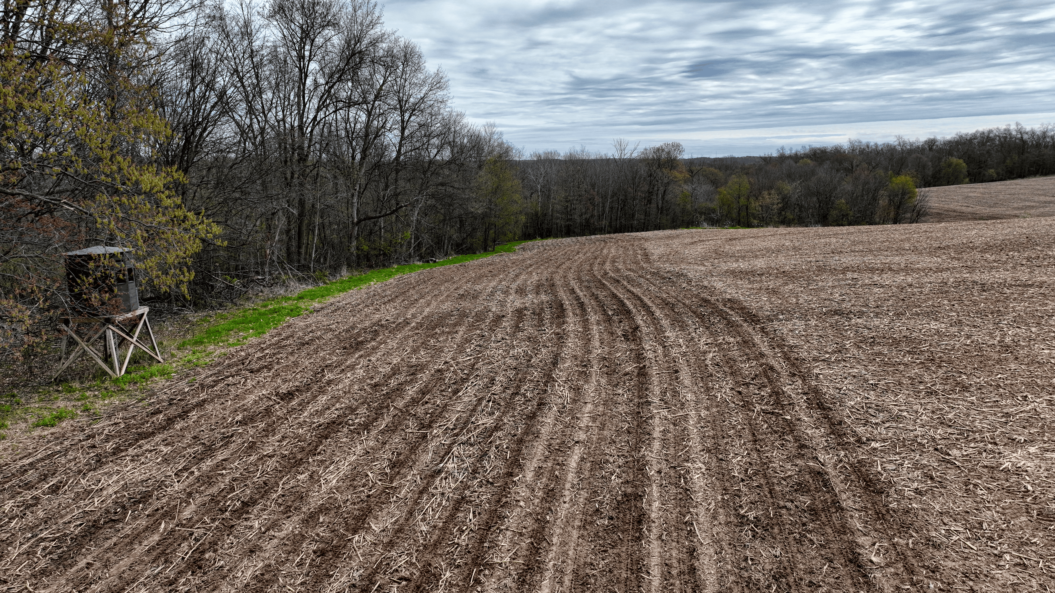 65-acre trophy whitetail and turkey hotspot