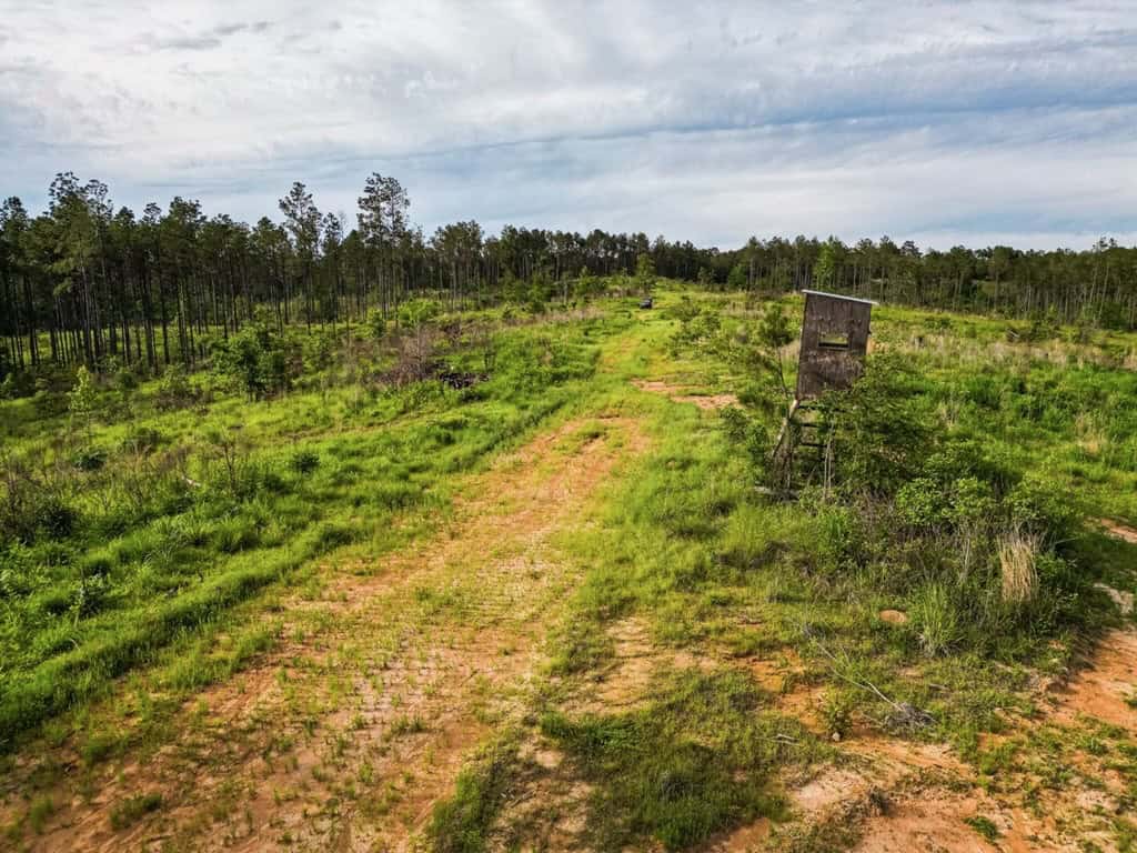 586 Hunting Land in the Catahoula Hills with Creek