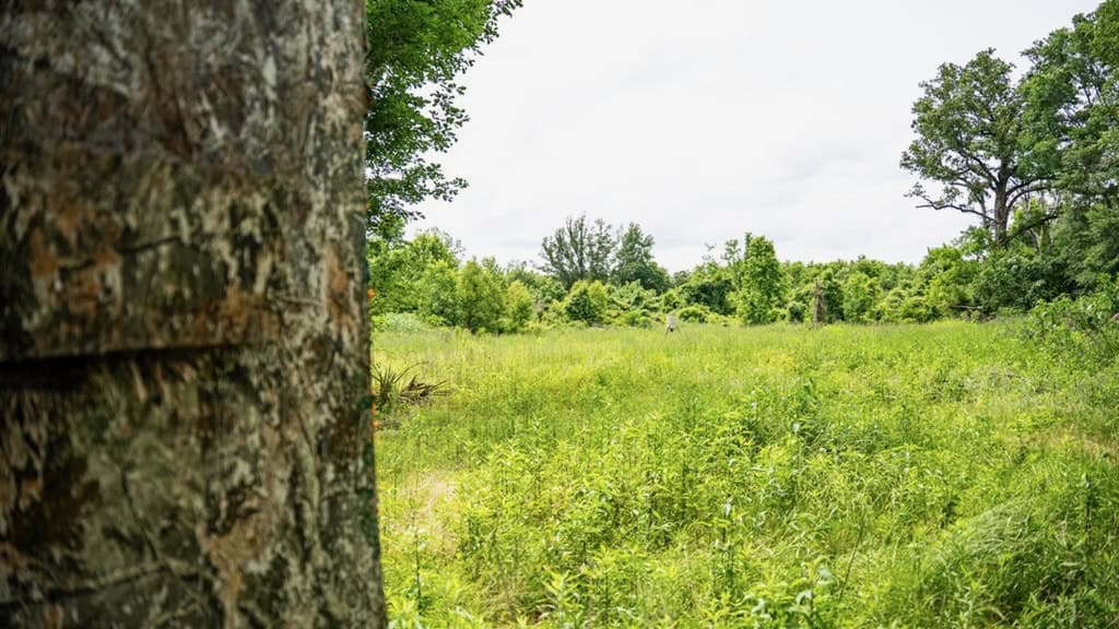 Hunting Land for Sale Morehouse Parish, LA