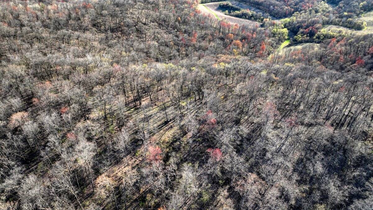 Premium 32+/- Acre Parcel in La Crosse County WI