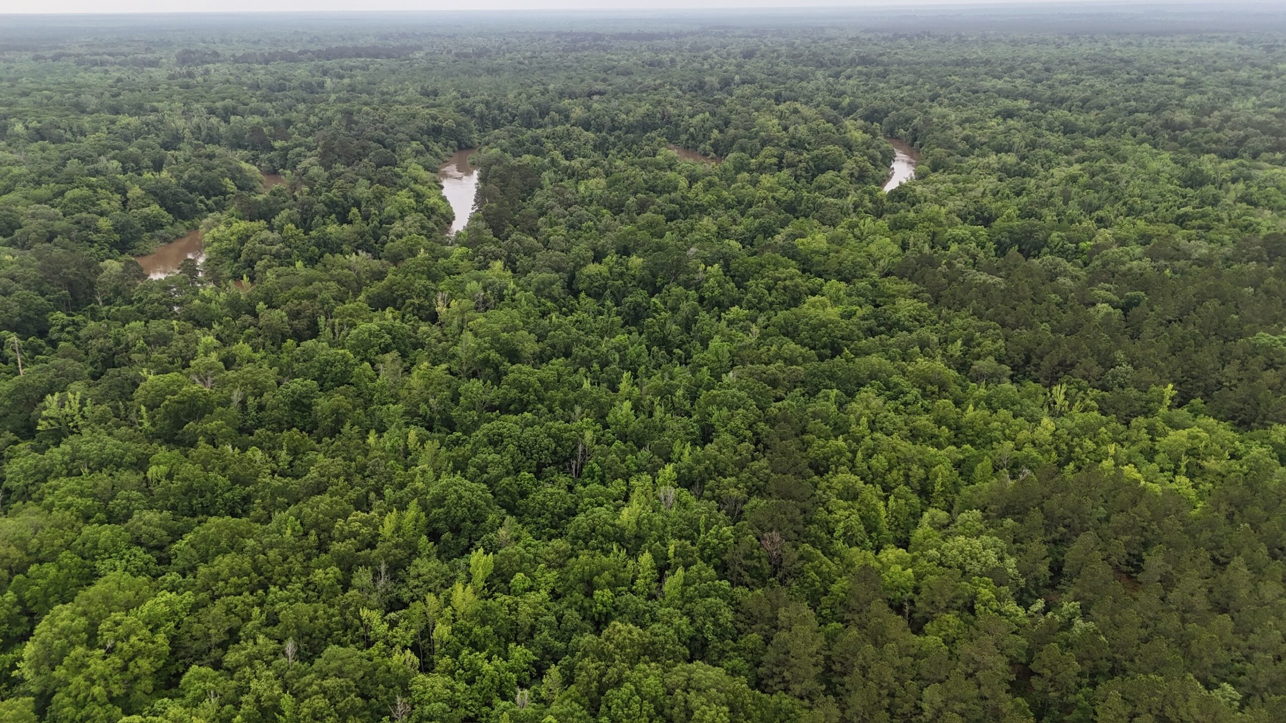 Riverfront Hunting Property with a Private Lake