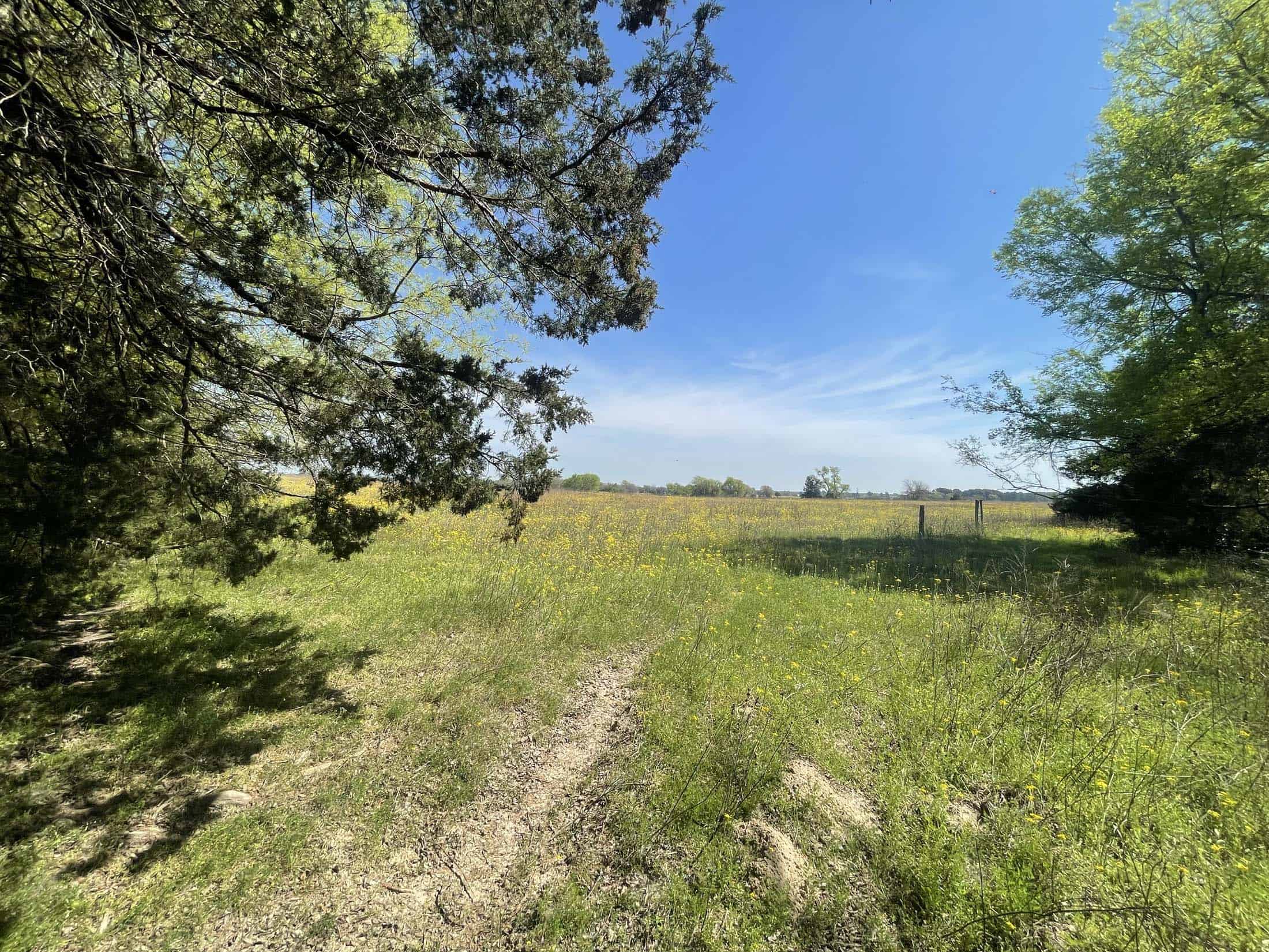 Recreational Ranch North of Houston near Grapeland TX
