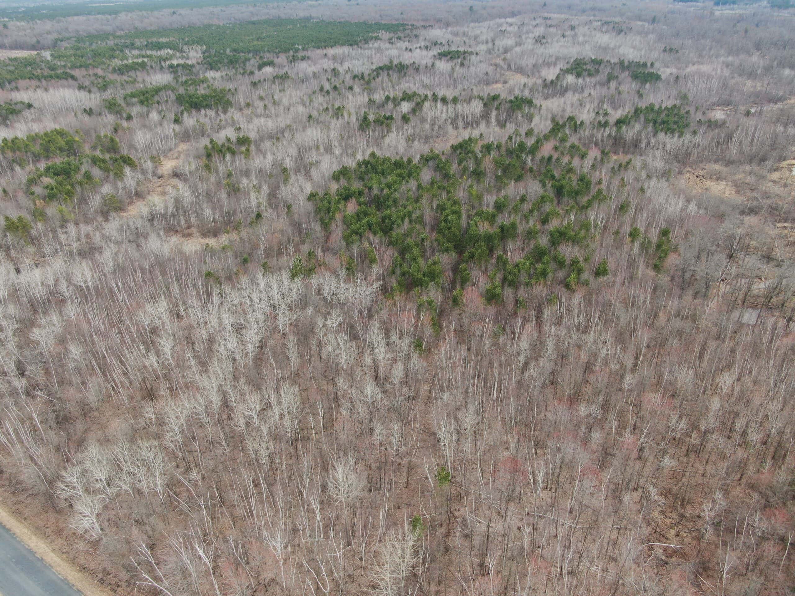 Juneau County WI 360 Acre Outdoor Paradise