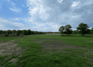 Secluded 100 Acre Mol Ranch in McCurtain County OK