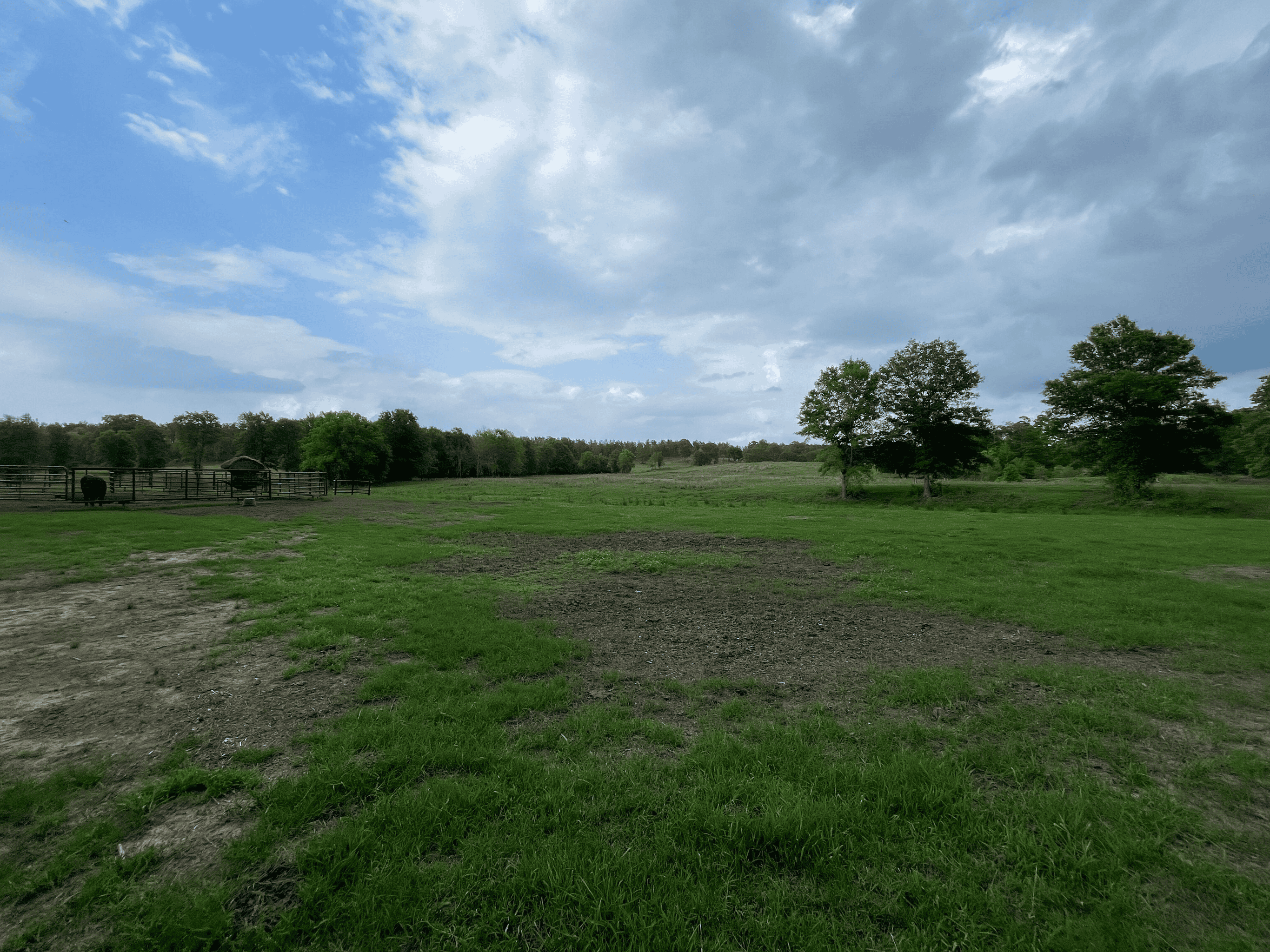 Secluded 100 Acre Mol Ranch in McCurtain County OK