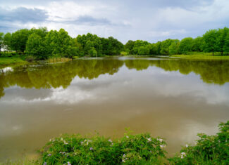 Central Oklahoma Ranch For Sale, Lincoln County
