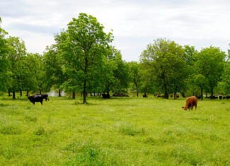 Central Oklahoma Ranch For Sale, Lincoln County