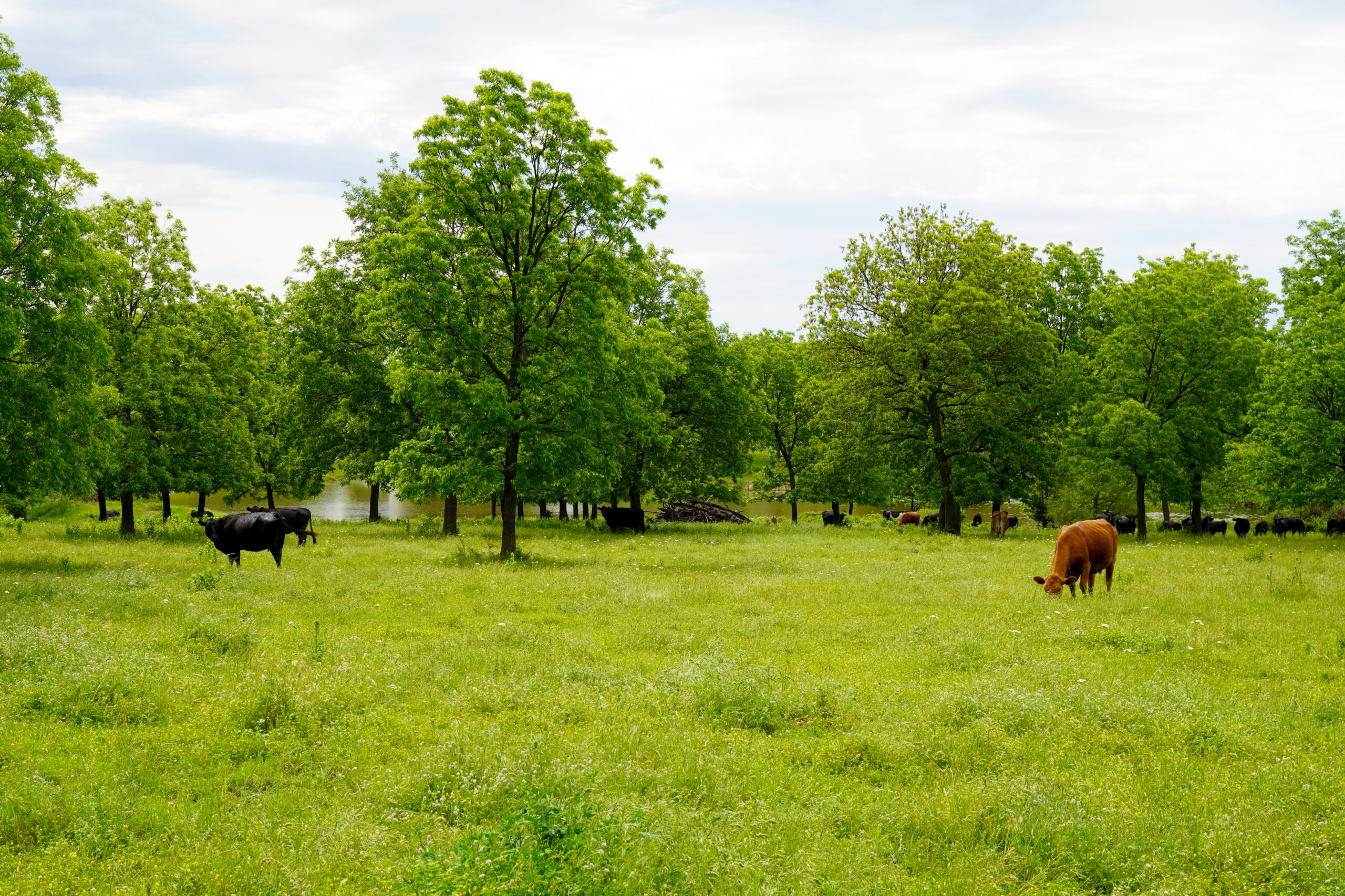Central Oklahoma Ranch For Sale, Lincoln County