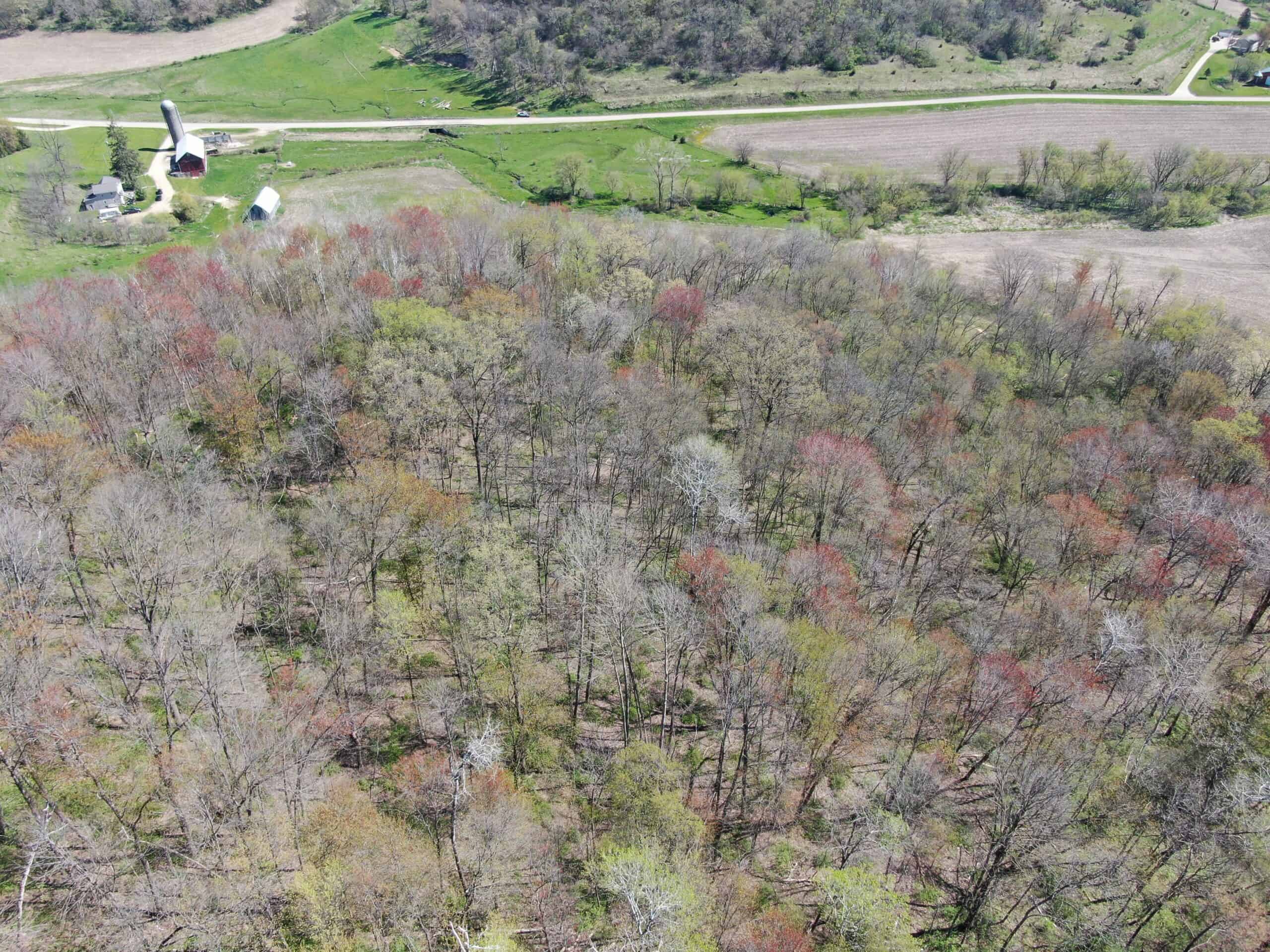 Online-Only Auction | 253+/- Acre Farm with Two Homes in Richland & Sauk Counties, WI