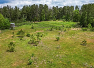 Homochitto Natl Forest Hunting Property Wilkinson Co, MS