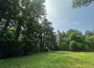 70 Acre Hunting Property with Camp Spot and Utilities