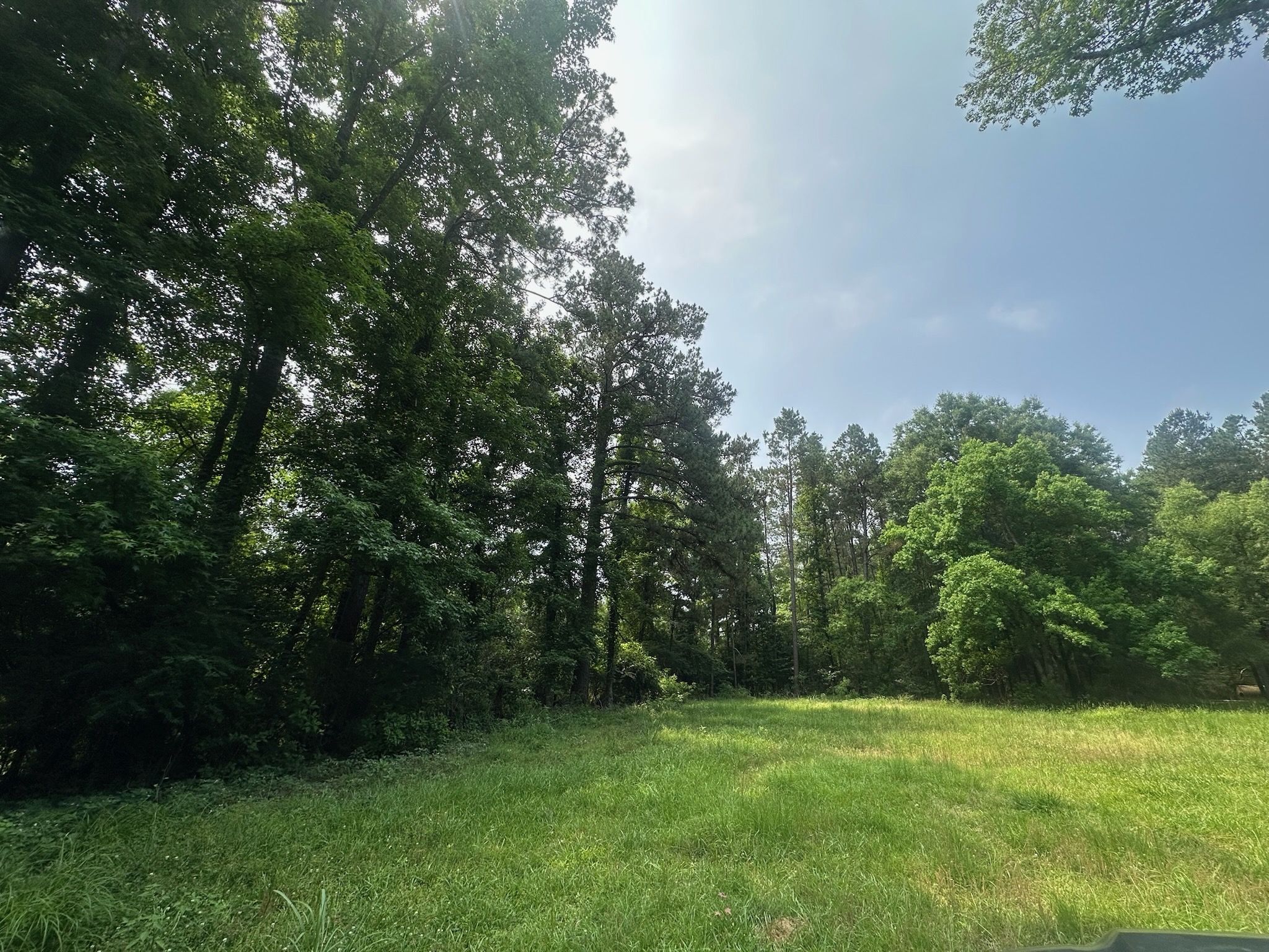 70 Acre Hunting Property with Camp Spot and Utilities