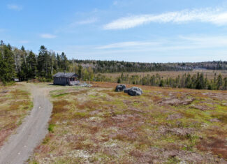 120± Acres of Land with Camp and Blueberry Field