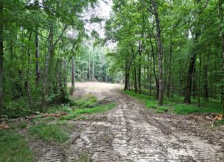 51 Acres of Hunting Land for Sale in Roxie, Mississippi
