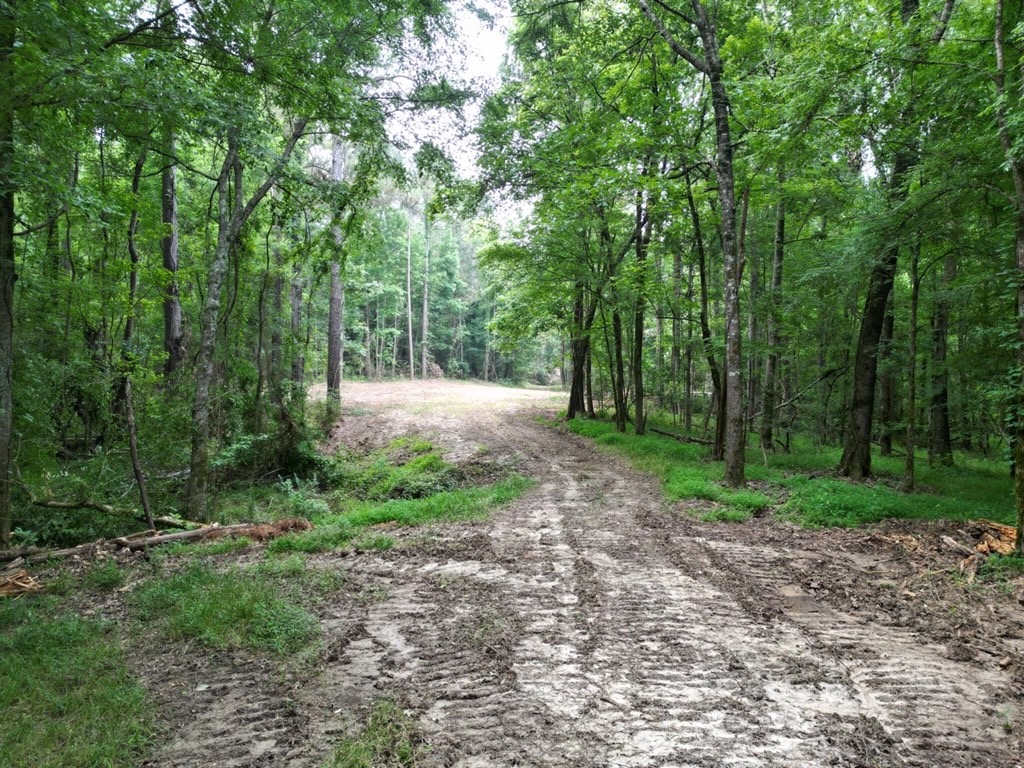 51 Acres of Hunting Land for Sale in Roxie, Mississippi