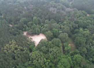 Hamburg 41: Hunting Land for Sale in Roxie, Mississippi