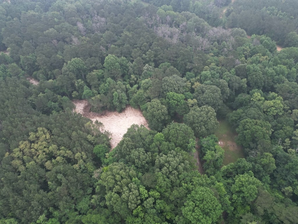 Hamburg 41: Hunting Land for Sale in Roxie, Mississippi