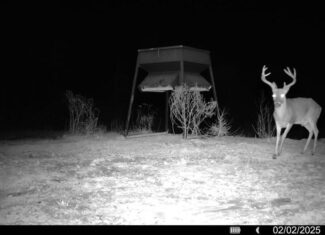586 Hunting Land in the Catahoula Hills with Creek