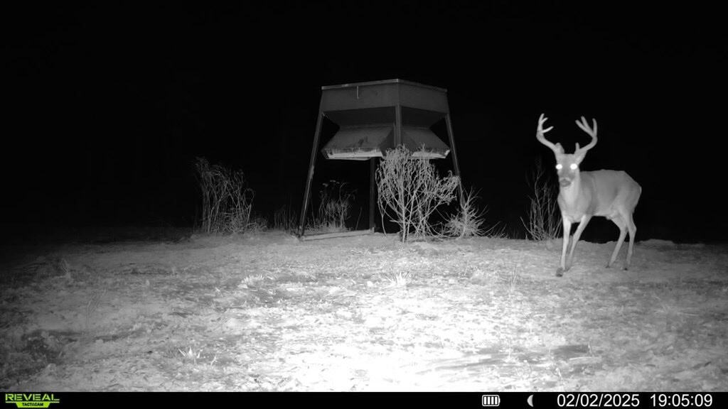586 Hunting Land in the Catahoula Hills with Creek