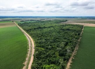 Hunting Land for Sale Morehouse Parish, LA