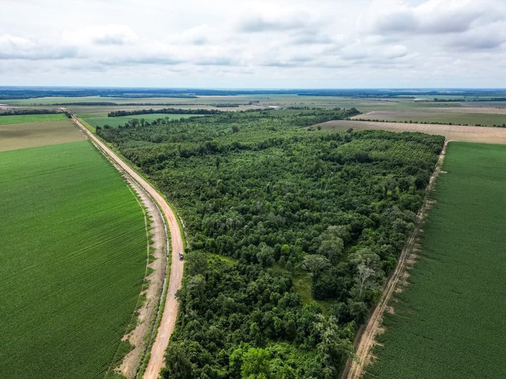 Hunting Land for Sale Morehouse Parish, LA
