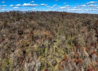 Premium 32+/- Acre Parcel in La Crosse County WI