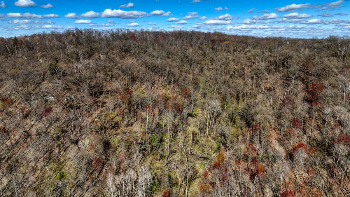 Premium 32+/- Acre Parcel in La Crosse County WI