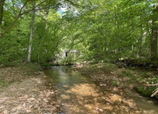 LAND FOR SALE IN TN, 39 AC+/-, CREEK, OPEN & WOODED, HUNTING