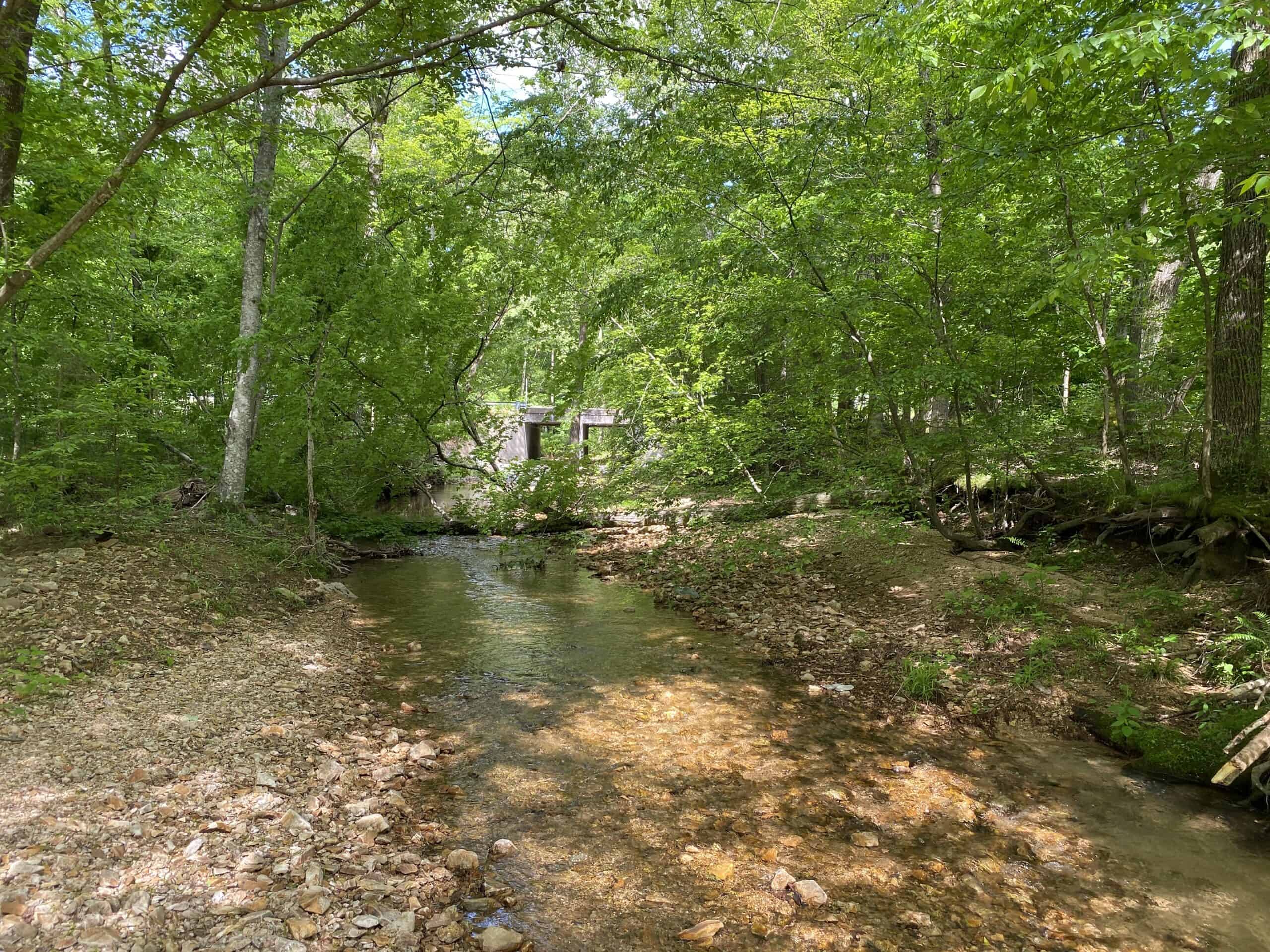 LAND FOR SALE IN TN, 39 AC+/-, CREEK, OPEN & WOODED, HUNTING