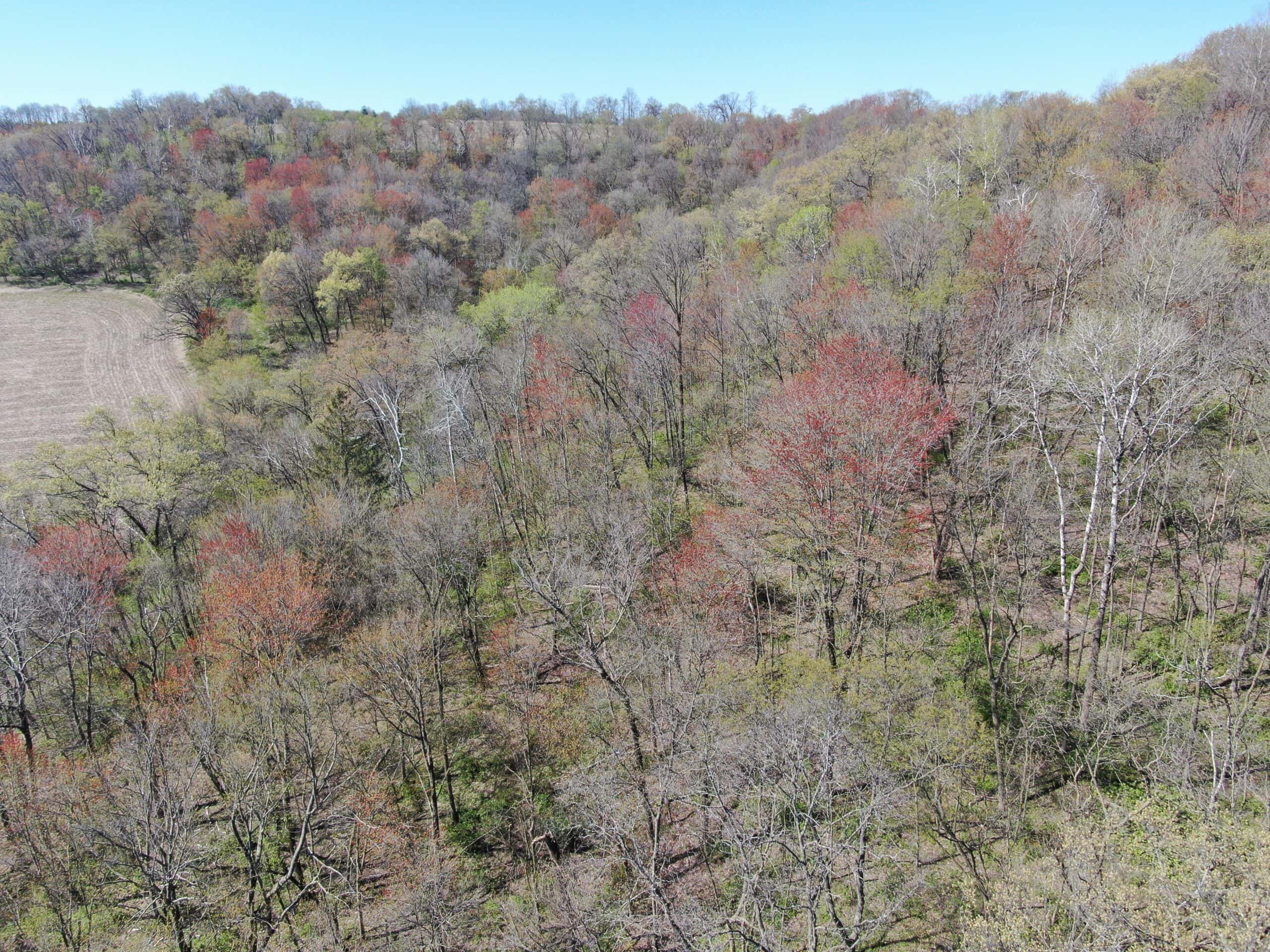 Online-Only Auction | 253+/- Acre Farm with Two Homes in Richland & Sauk Counties, WI