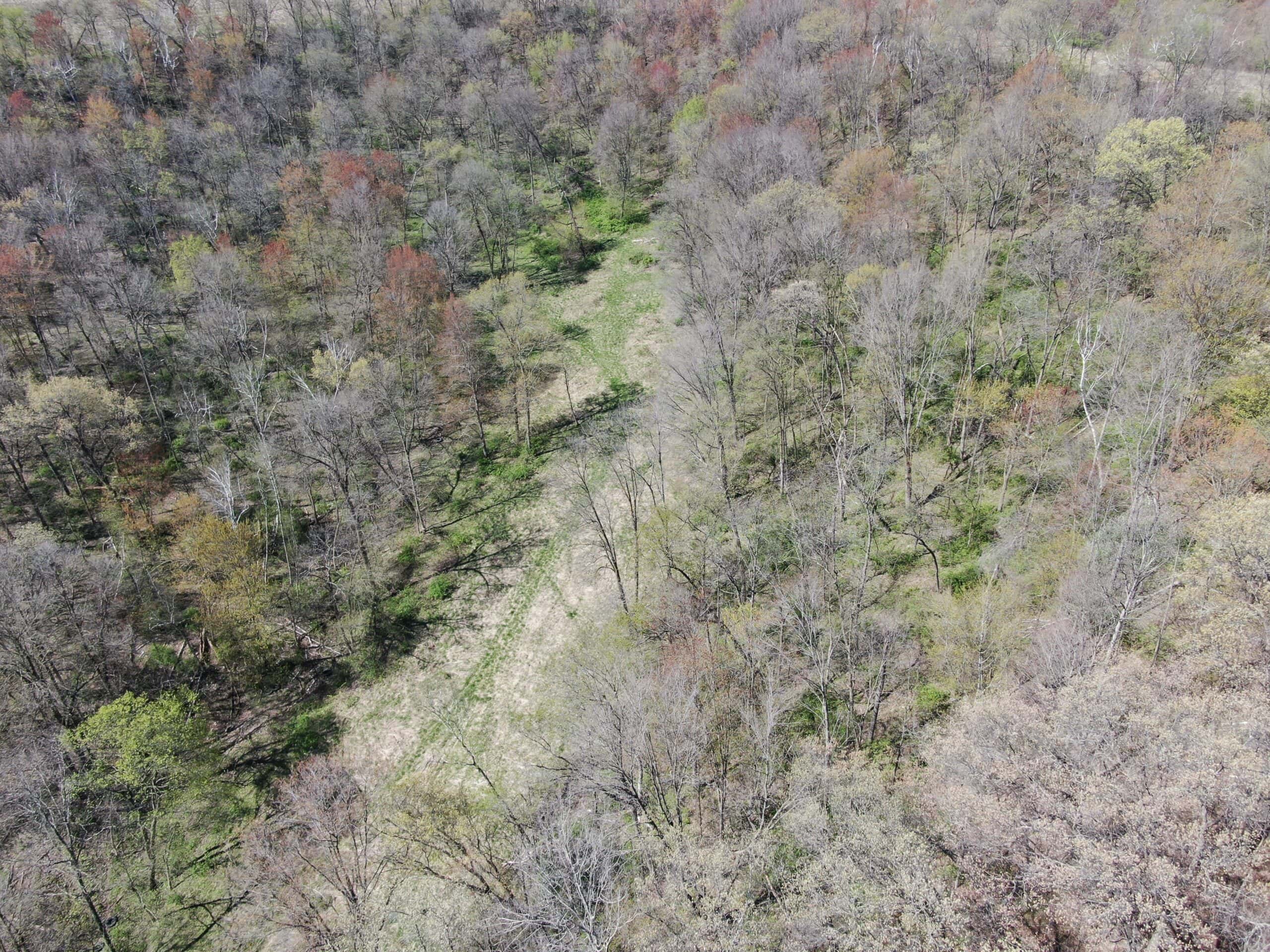 Online-Only Auction | 253+/- Acre Farm with Two Homes in Richland & Sauk Counties, WI