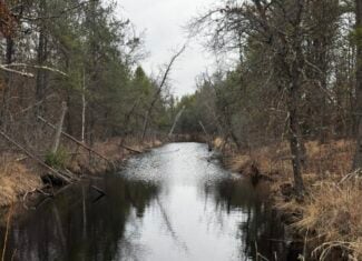 103± acre timber tract in Juneau County’s Town of Necedah