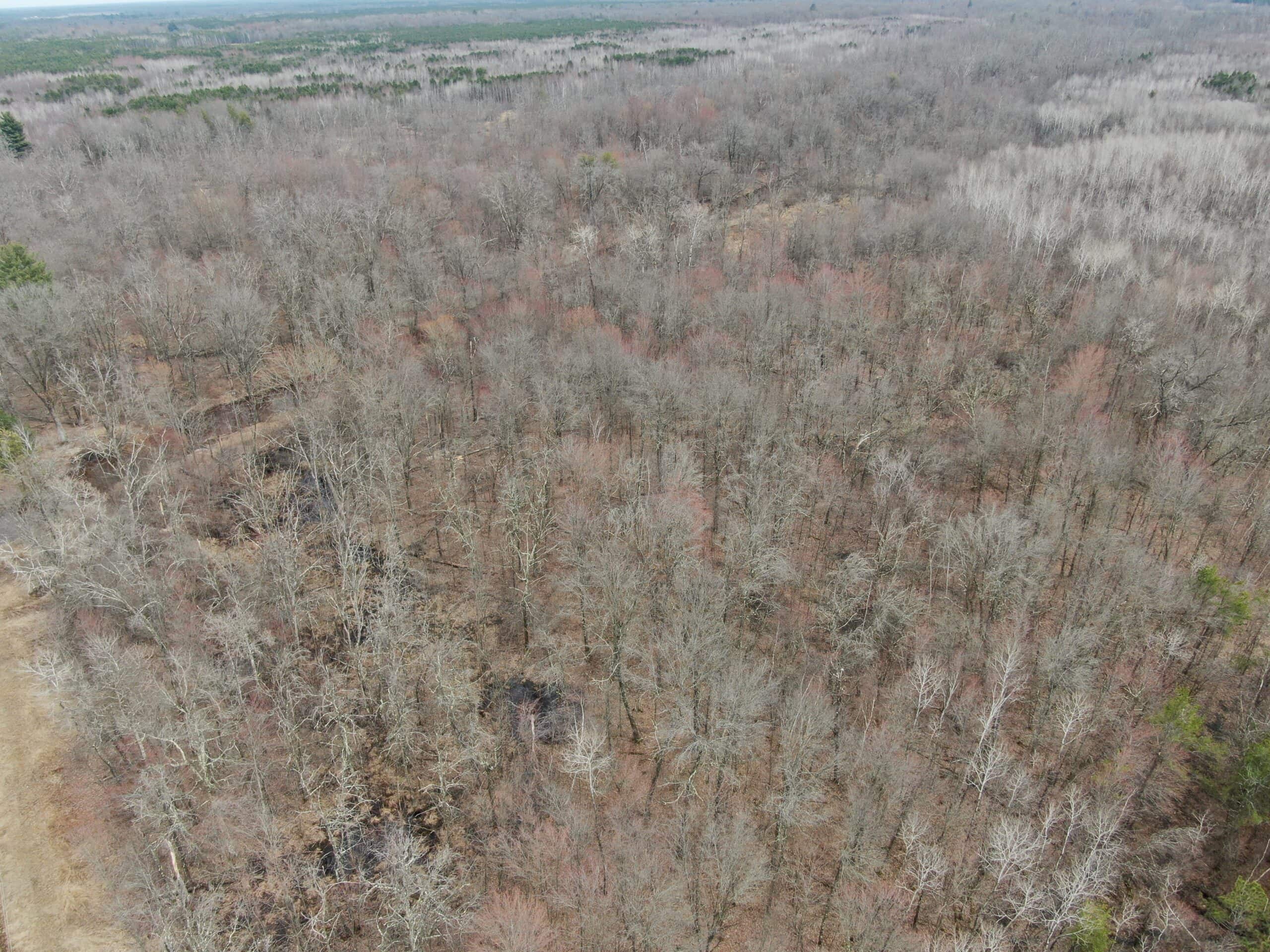 Juneau County WI 360 Acre Outdoor Paradise