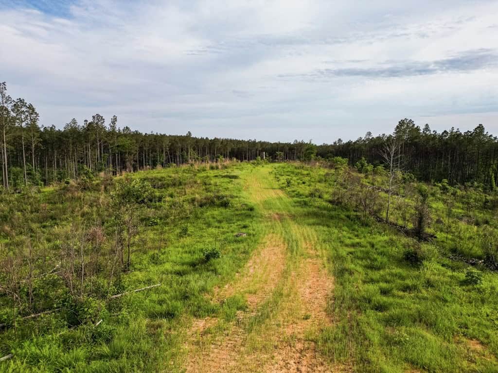 586 Hunting Land in the Catahoula Hills with Creek