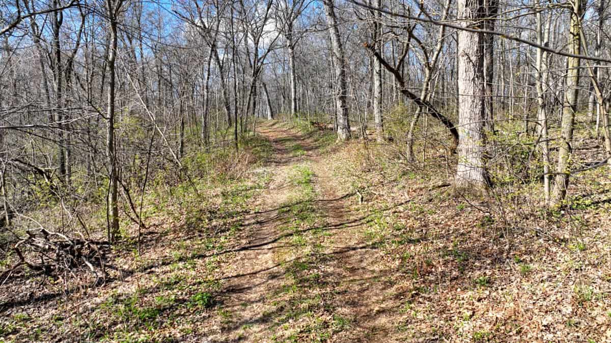 Premium 32+/- Acre Parcel in La Crosse County WI