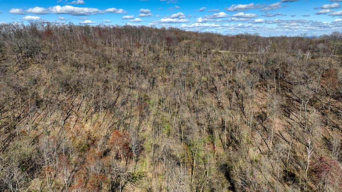 Prime 34+/- Acre Parcel in La Crosse County Wisconsin