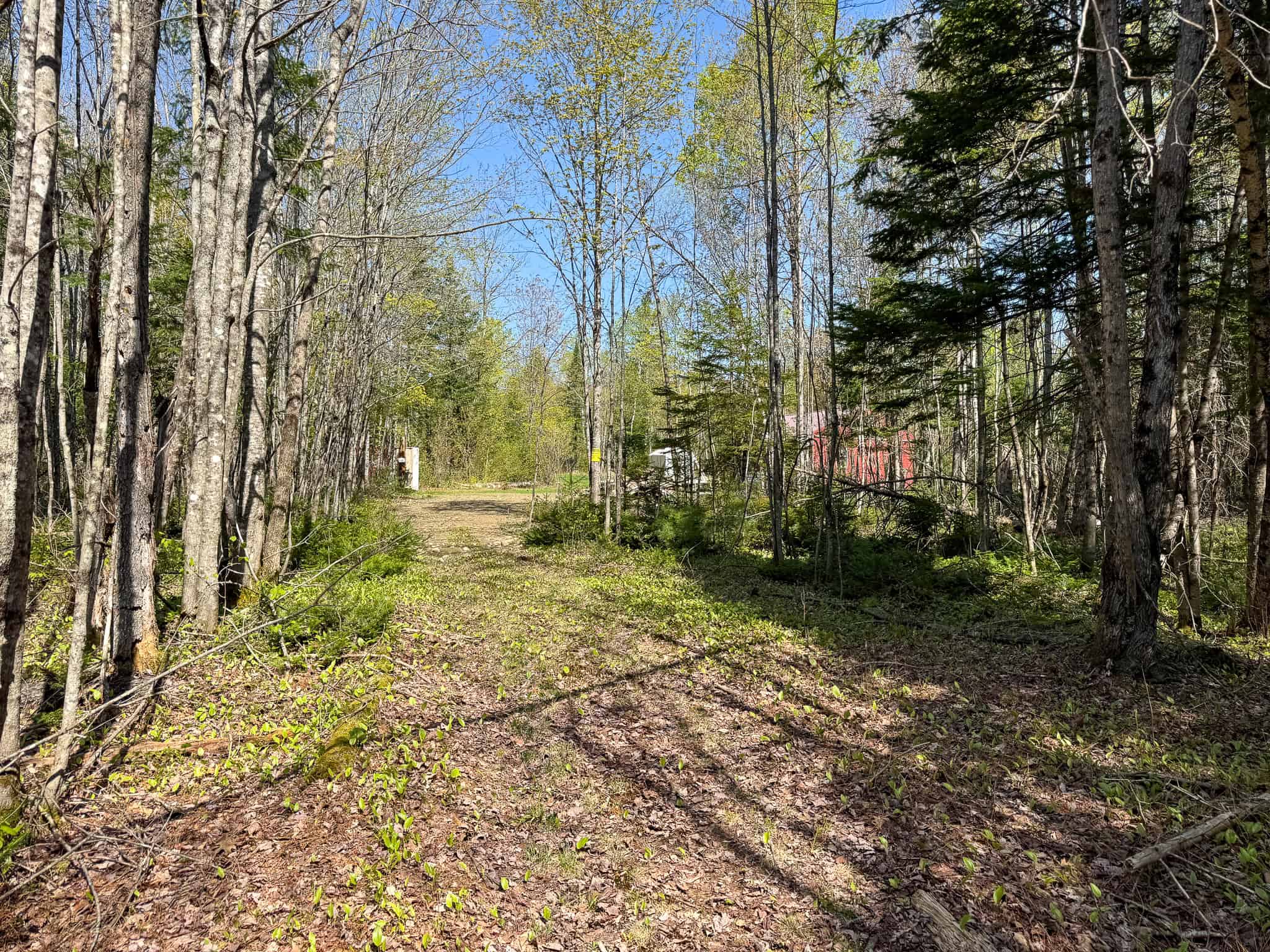 Escape to the Maine Woods – Off-Grid Getaway Cabin on 26± Acres