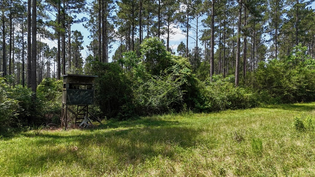 Turnkey Pike County, MS 70 Acres Hunting Property
