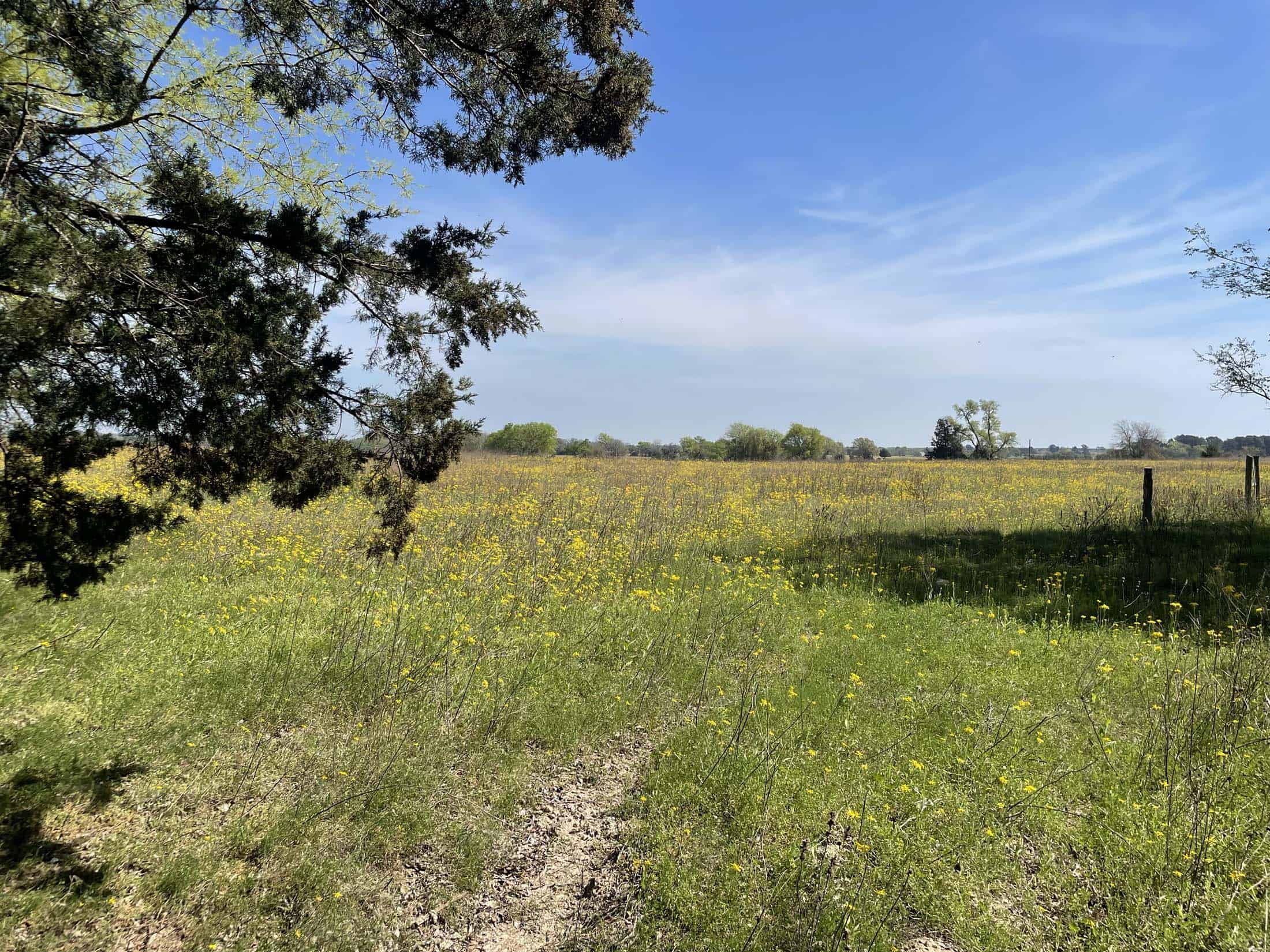 Recreational Ranch North of Houston near Grapeland TX