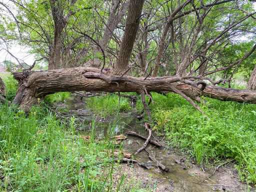 51.01 Acres for Sale in Gatesville, TX – Gated Entrance, Pond, and Stunning Views