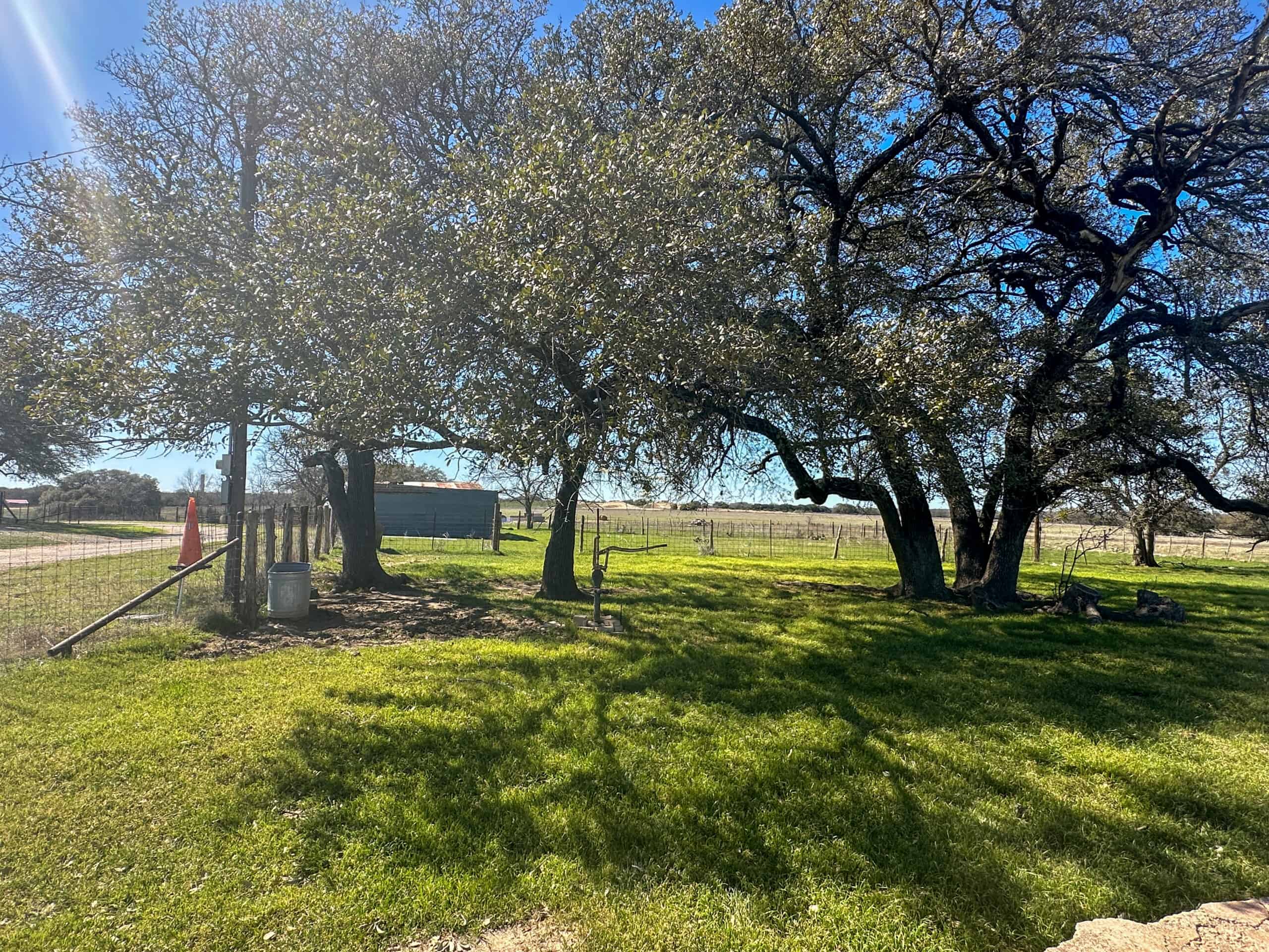 Serene 40 Acres in Central Texas
