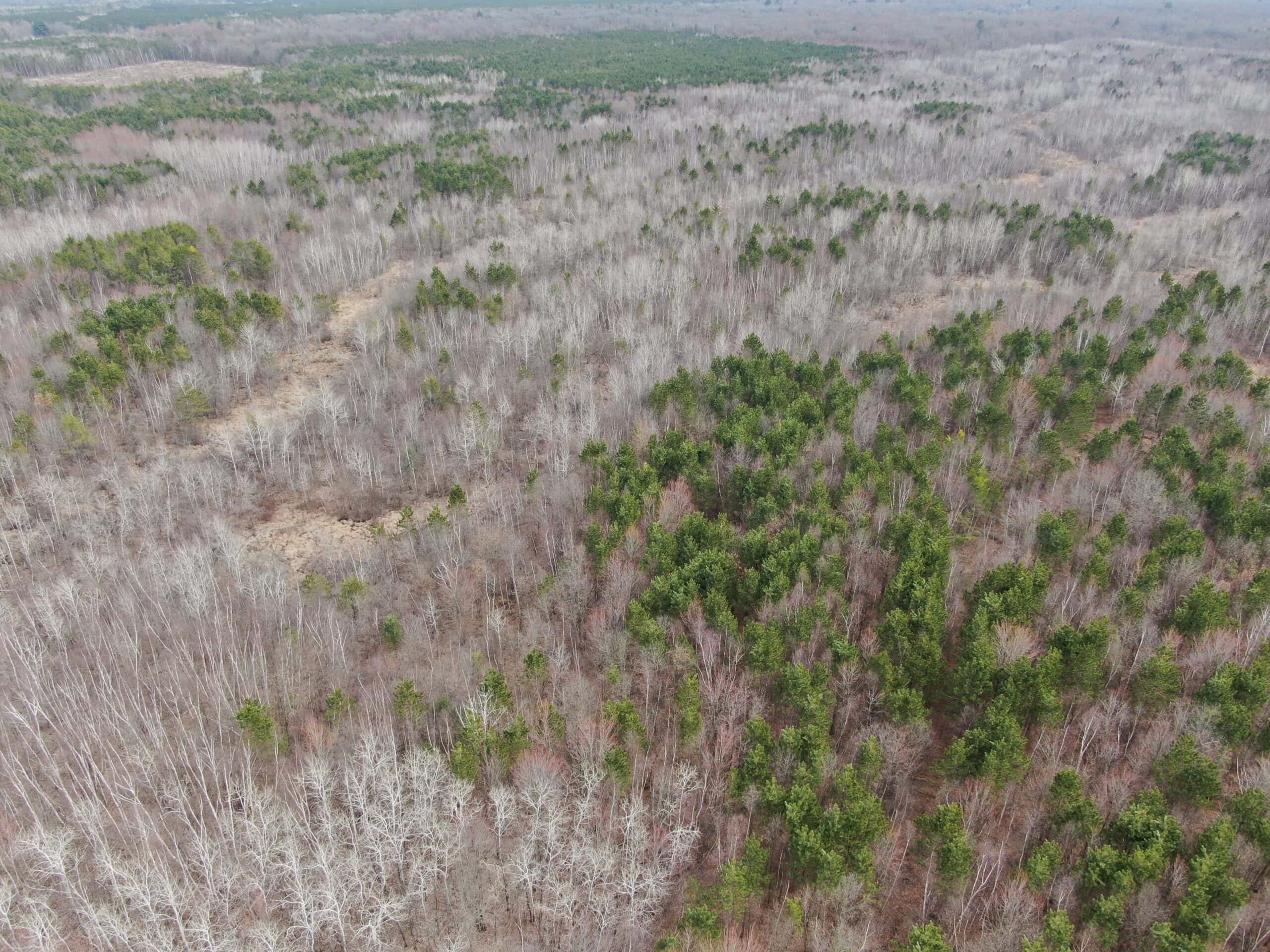 Juneau County WI 360 Acre Outdoor Paradise