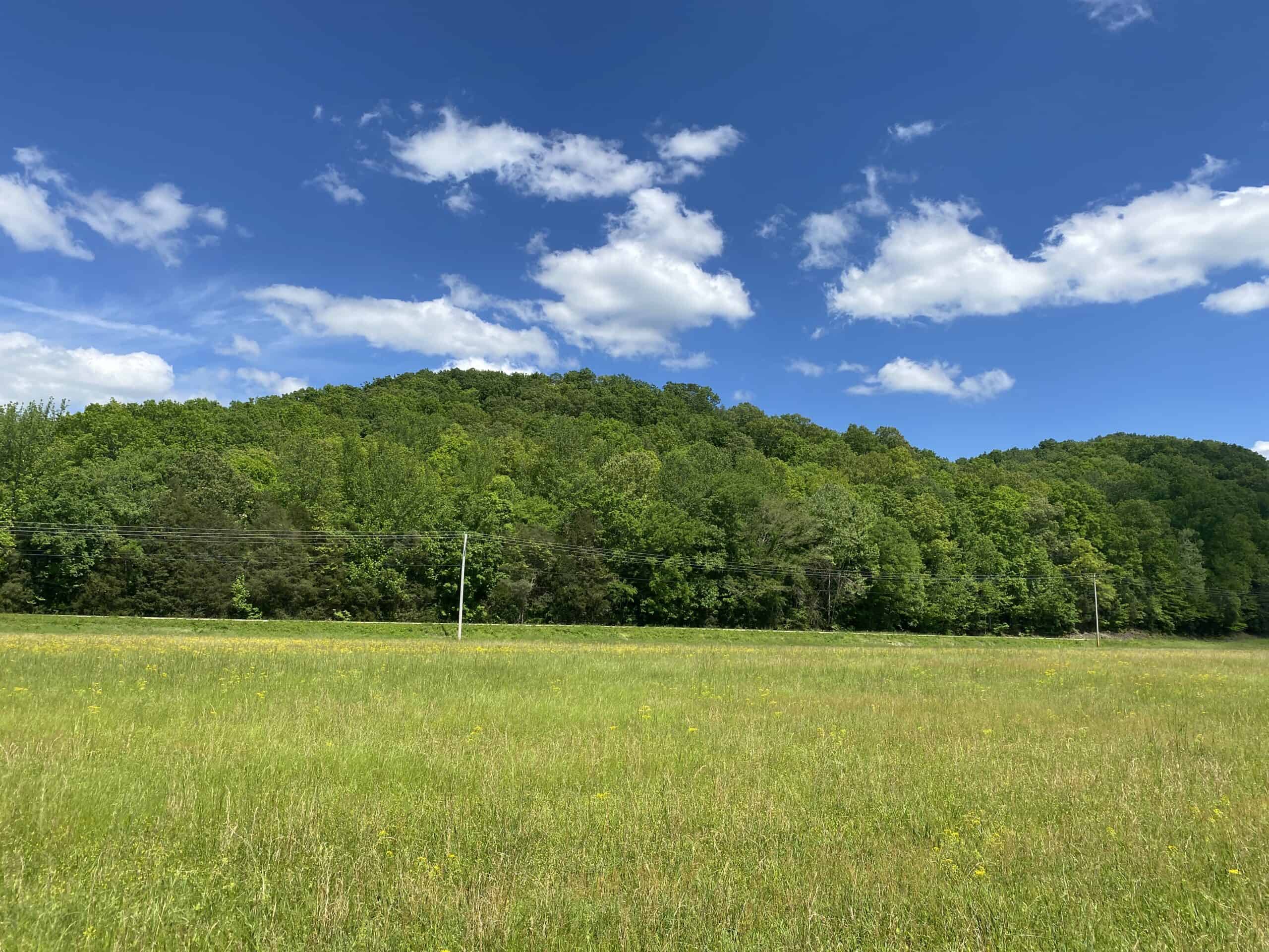 LAND FOR SALE IN TN, 39 AC+/-, CREEK, OPEN & WOODED, HUNTING