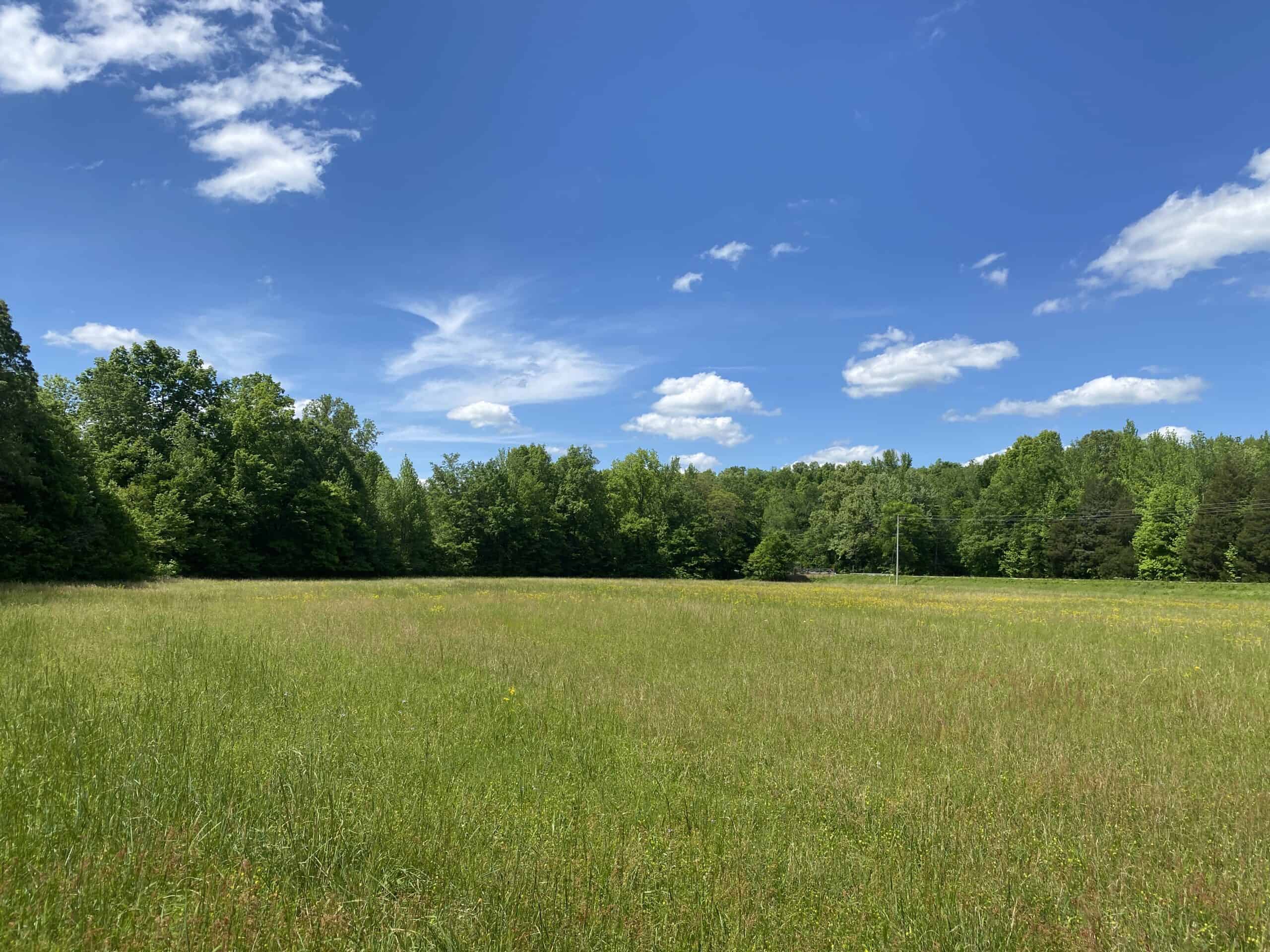 LAND FOR SALE IN TN, 39 AC+/-, CREEK, OPEN & WOODED, HUNTING
