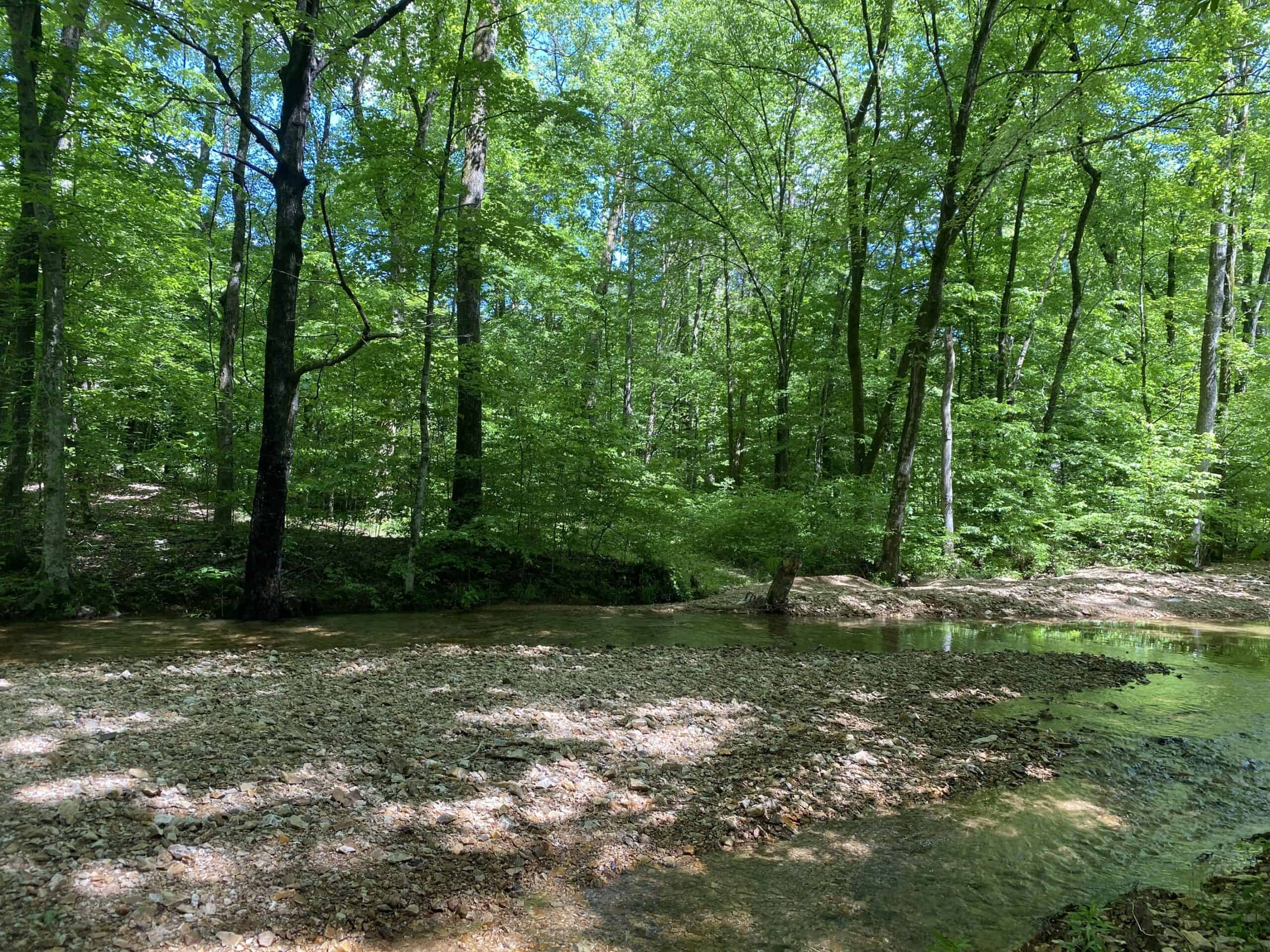 LAND FOR SALE IN TN, 39 AC+/-, CREEK, OPEN & WOODED, HUNTING