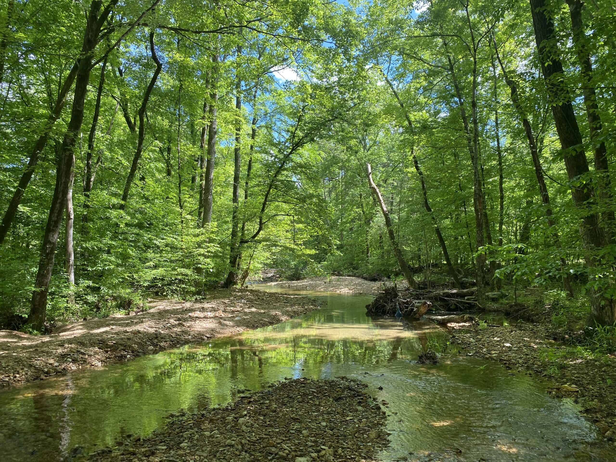 LAND FOR SALE IN TN, 39 AC+/-, CREEK, OPEN & WOODED, HUNTING