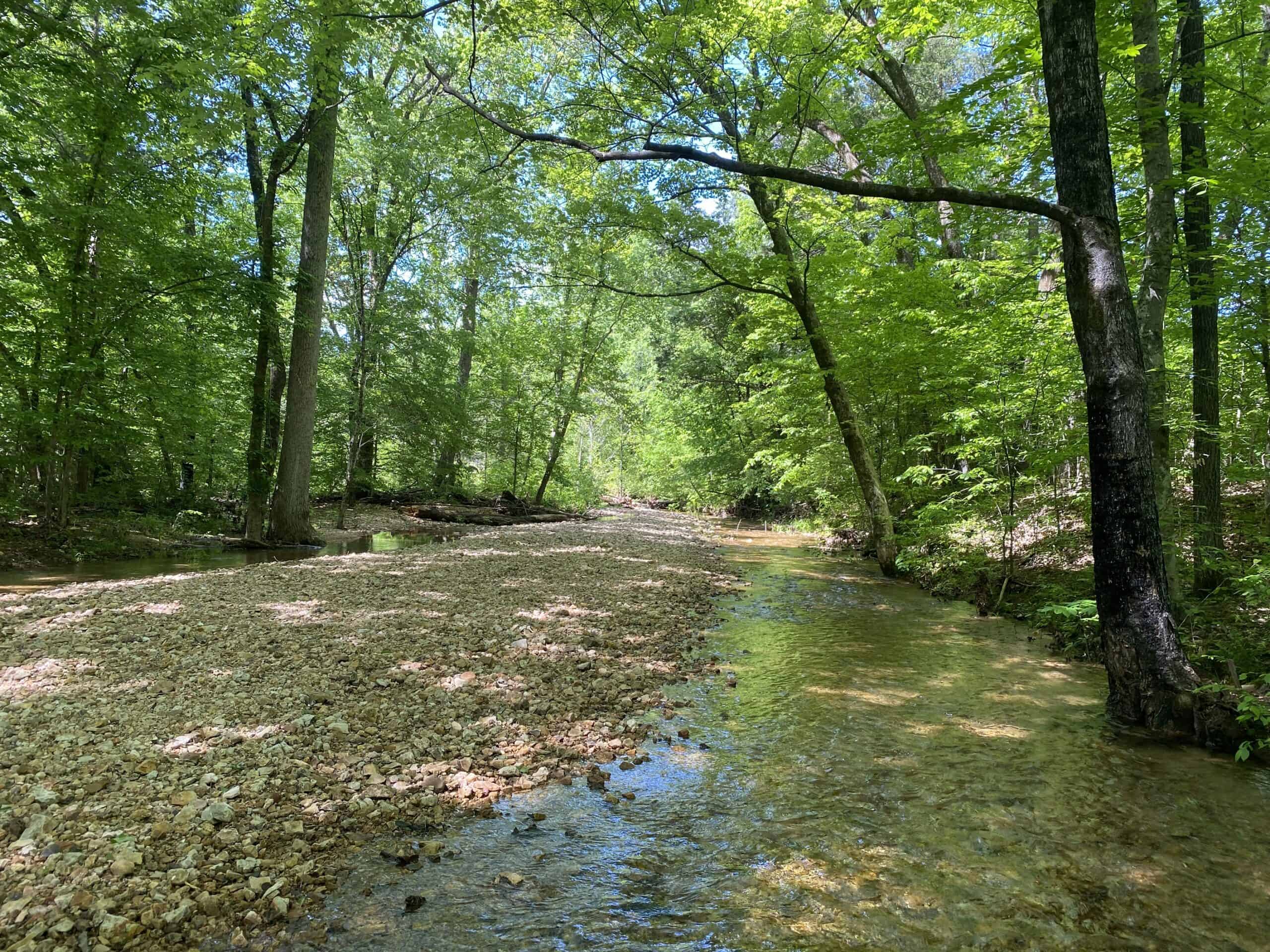 LAND FOR SALE IN TN, 39 AC+/-, CREEK, OPEN & WOODED, HUNTING
